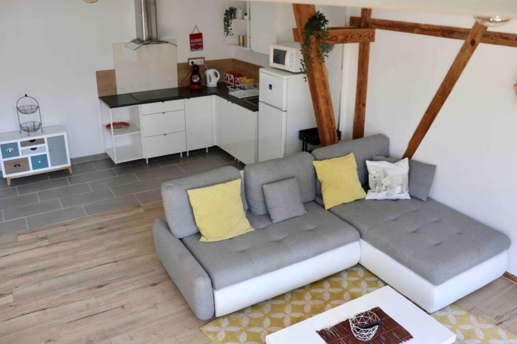 Appartement La grange de Jeanette à Burnhaupt-le-Haut Extérieur photo