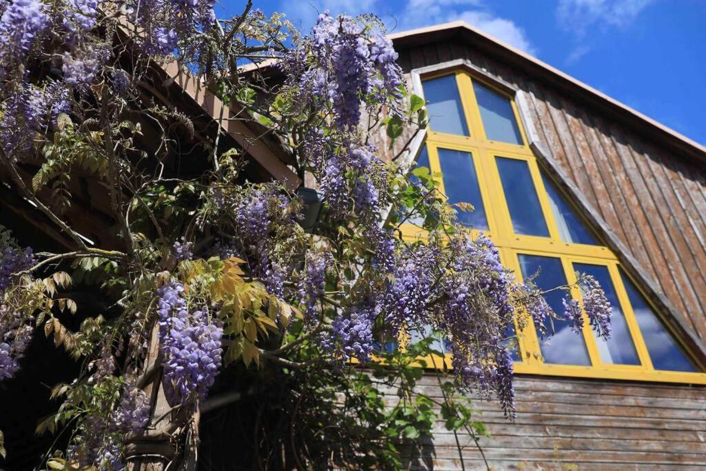 Appartement La grange de Jeanette à Burnhaupt-le-Haut Extérieur photo